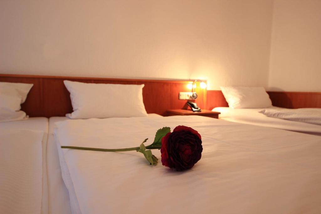 Altstadthotel Fürth Εξωτερικό φωτογραφία